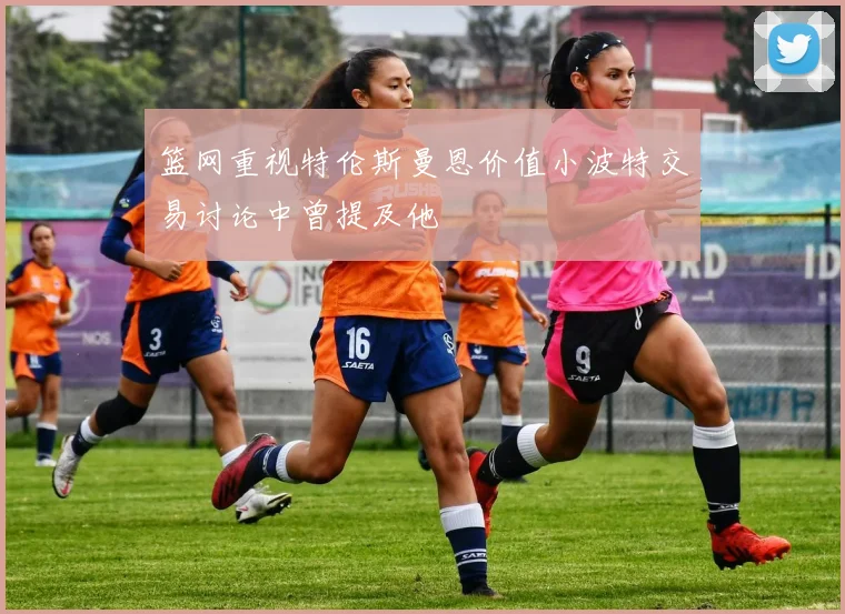 篮网重视特伦斯曼恩价值小波特交易讨论中曾提及他