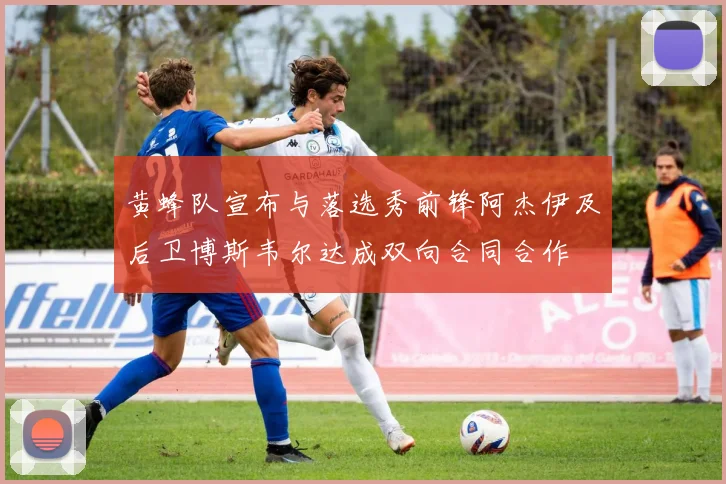 黄蜂队宣布与落选秀前锋阿杰伊及后卫博斯韦尔达成双向合同合作